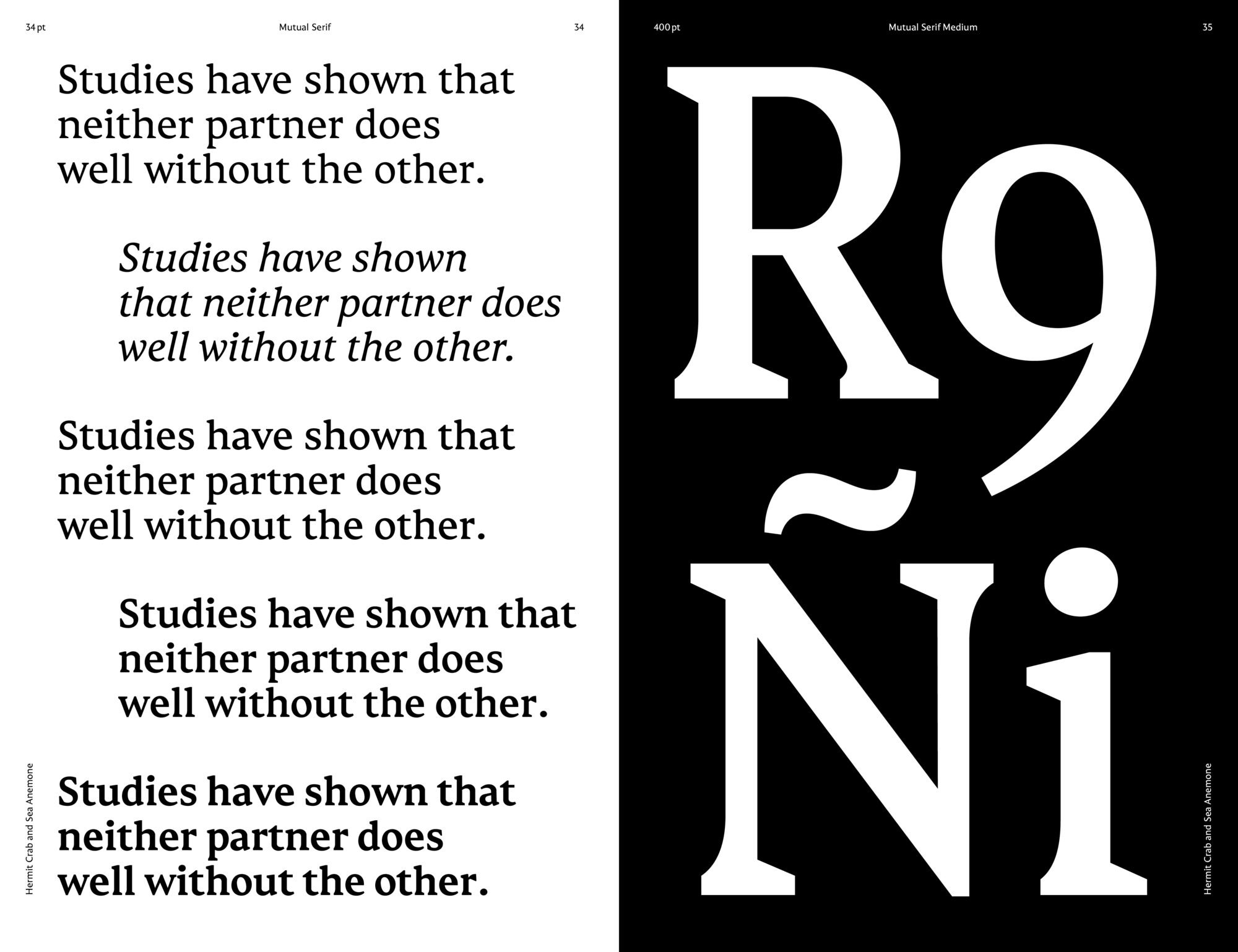 Mutual_ECAL_MaraNolze_3_compressed.jpeg
