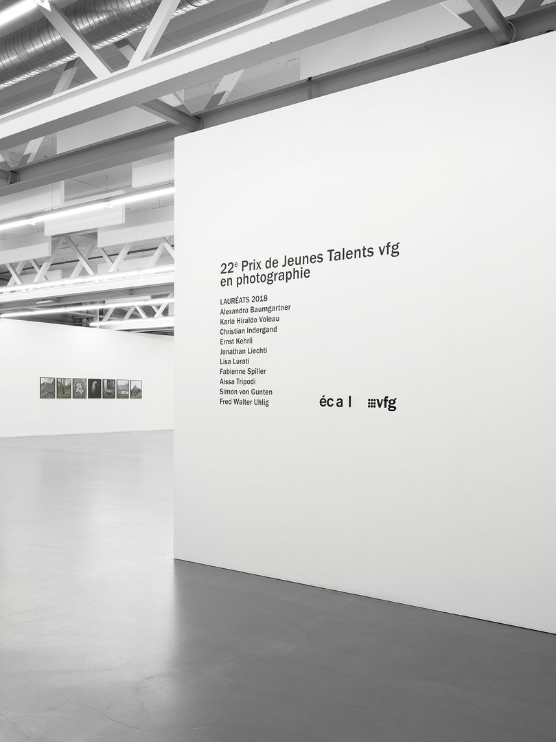 Exhibition of the Vfg award 2018