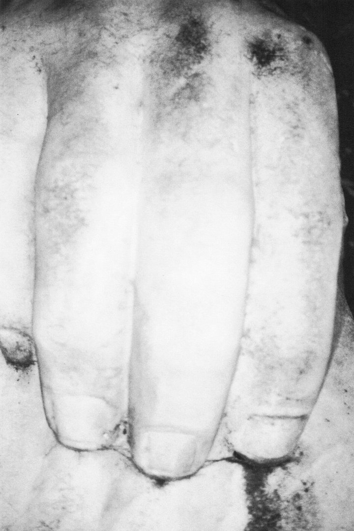 Vittorio Franzolini – Still still