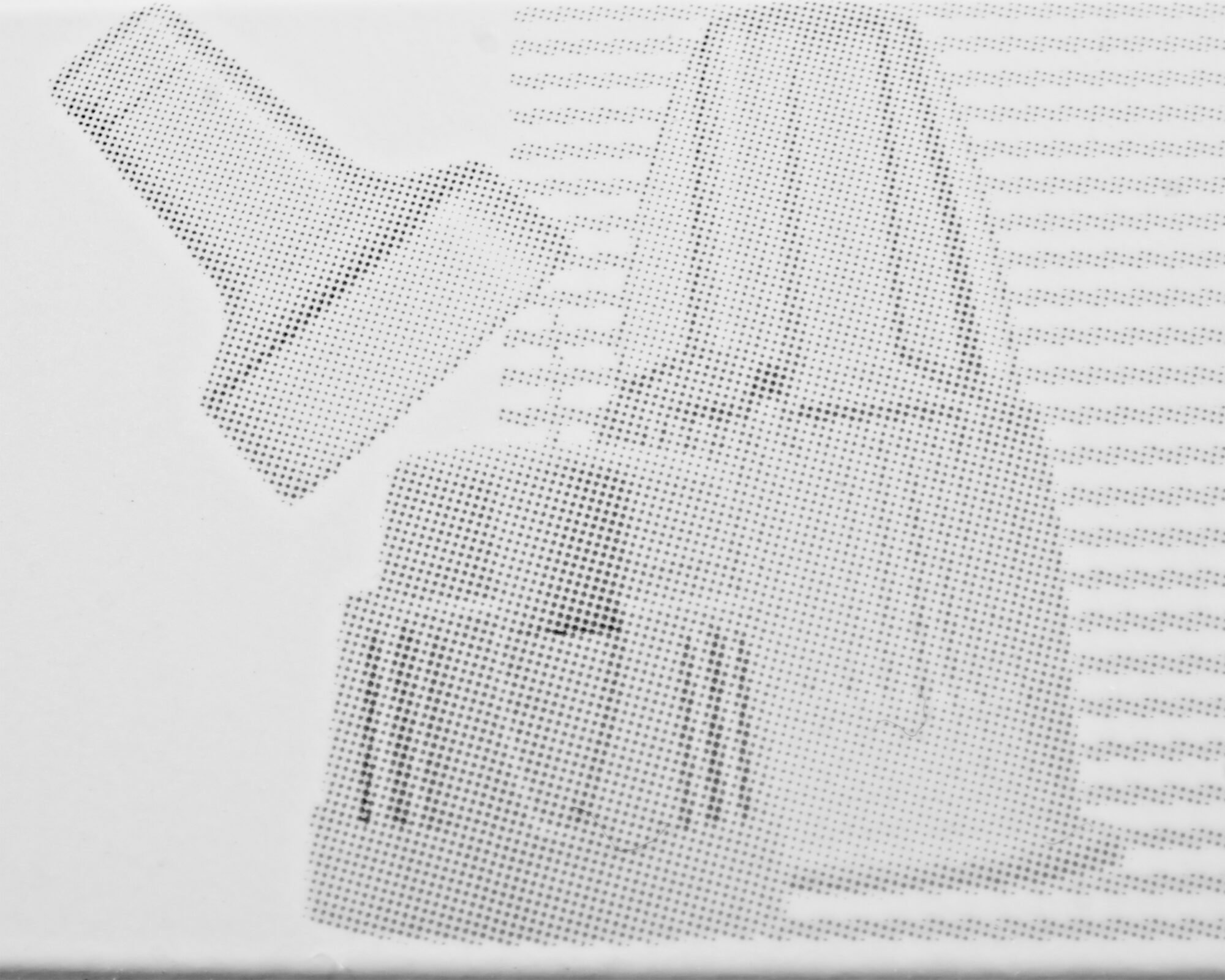 GROSSE_ECAL_Billato_Salomé_5_compressed.jpeg