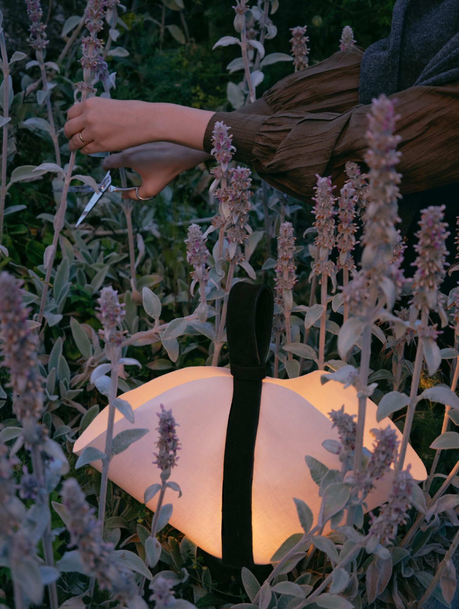 Untitled_Artwork 267_compressed.jpeg