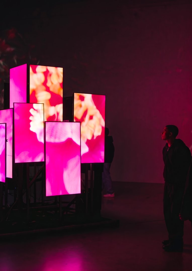 ECAL Light House
