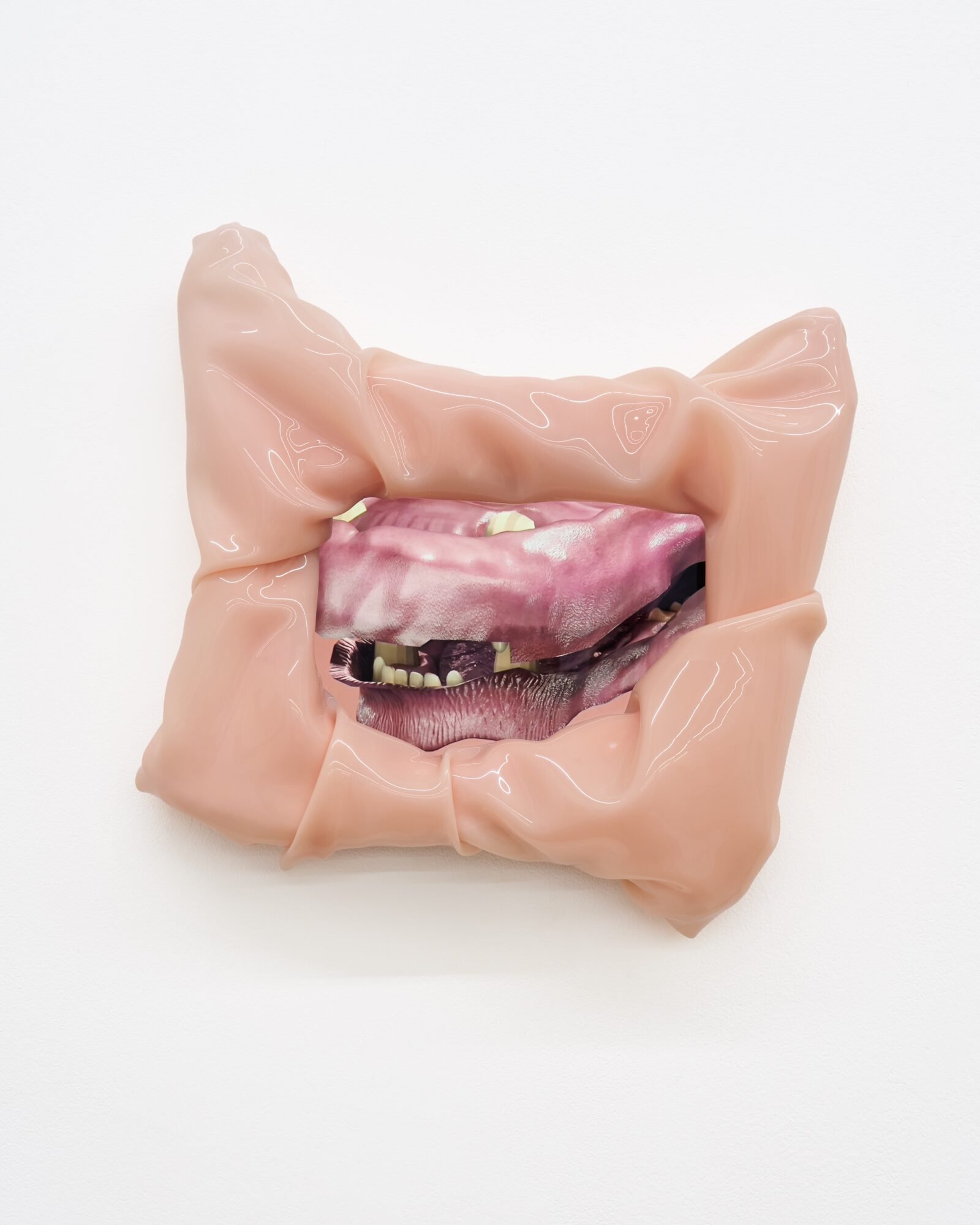 The surrogate_ECAL_Xiao Fu_3_compressed.jpeg