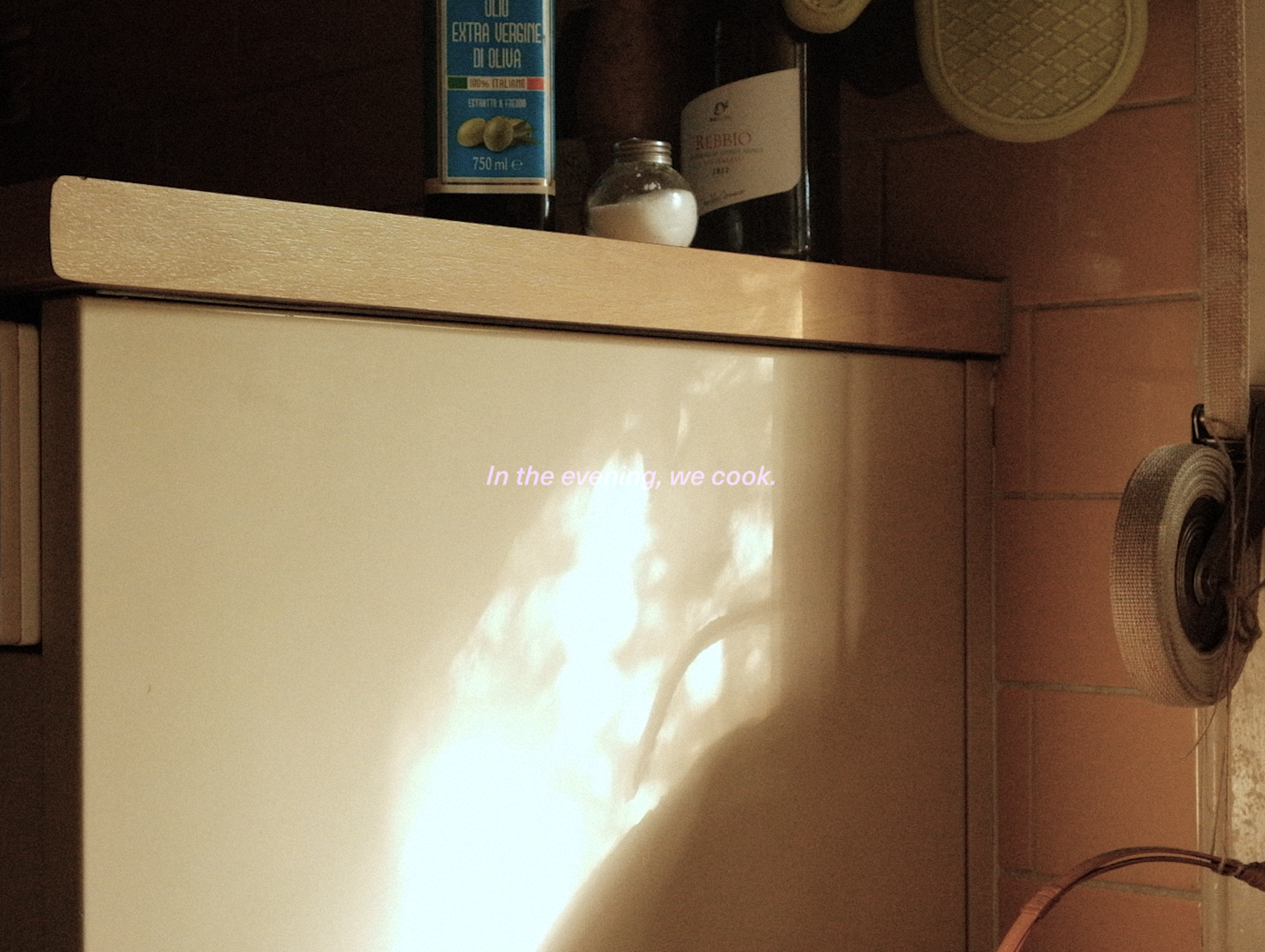 InstructionsOfRematriation_ECAL_CamilaPolania-2.png