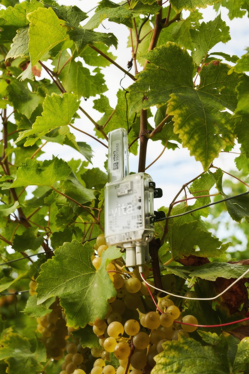 Arboricrop — Next generation agriculture using real-time information from tree crops