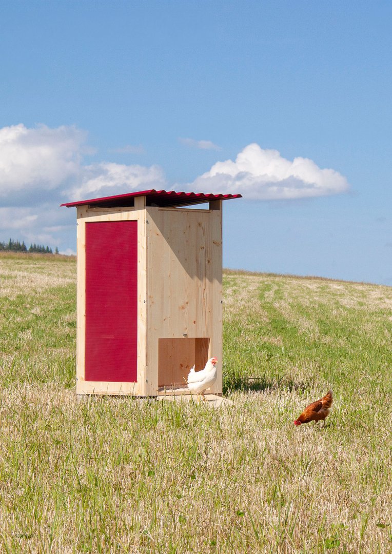 Romain Ricci – Rooster