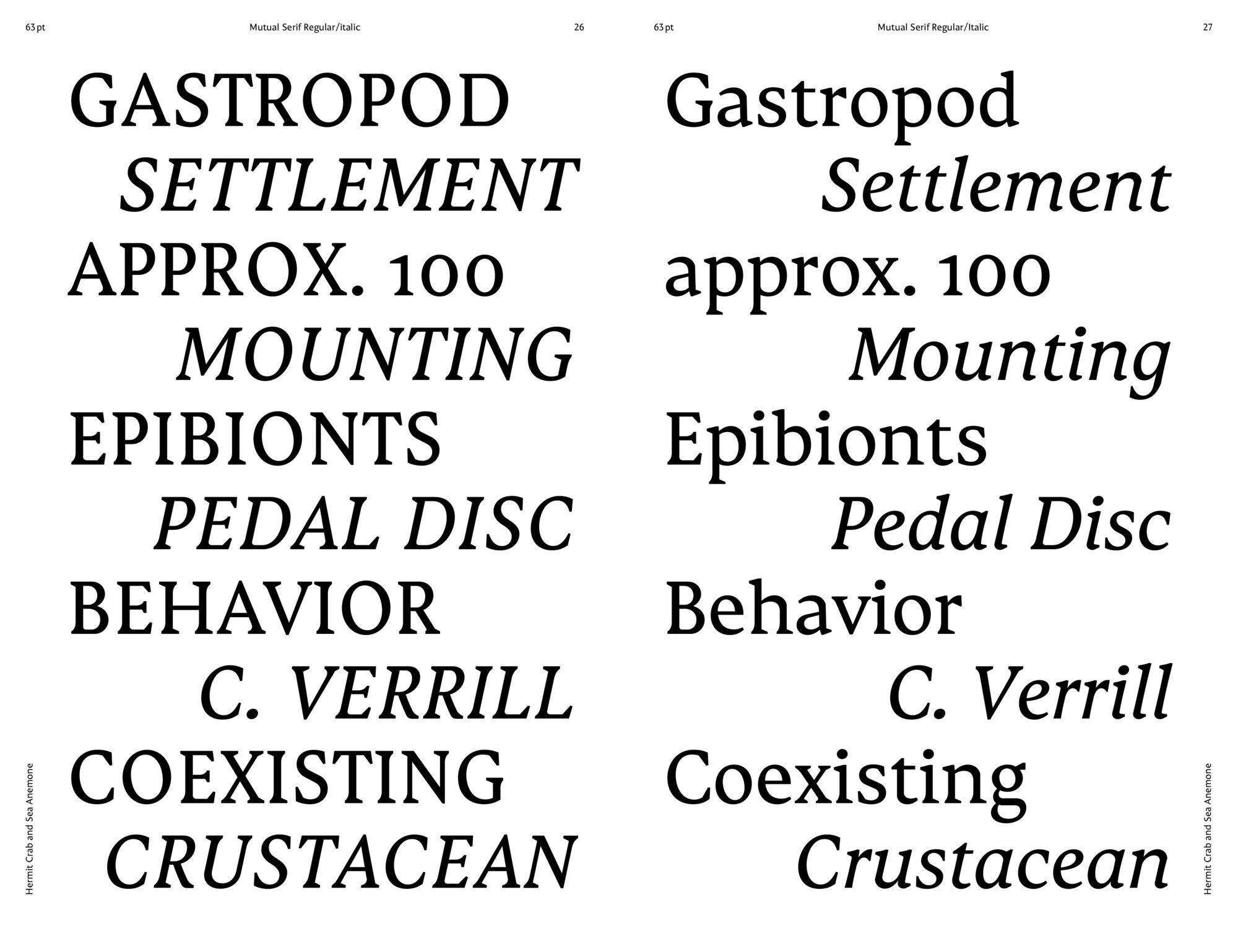Mutual_ECAL_MaraNolze_4_compressed.jpeg
