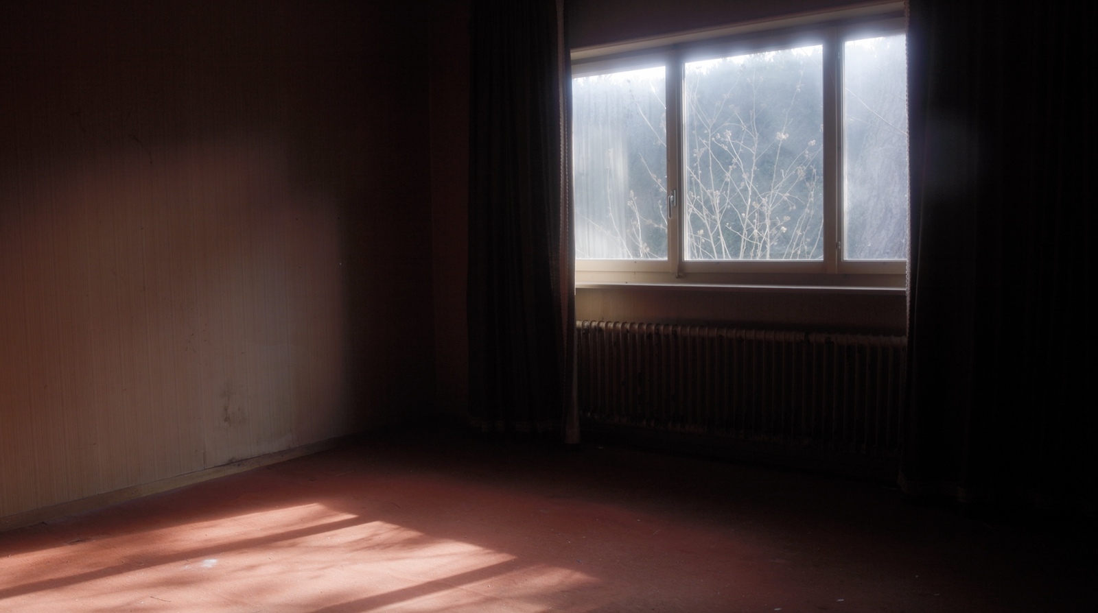 Option Course Cinema – 24–25