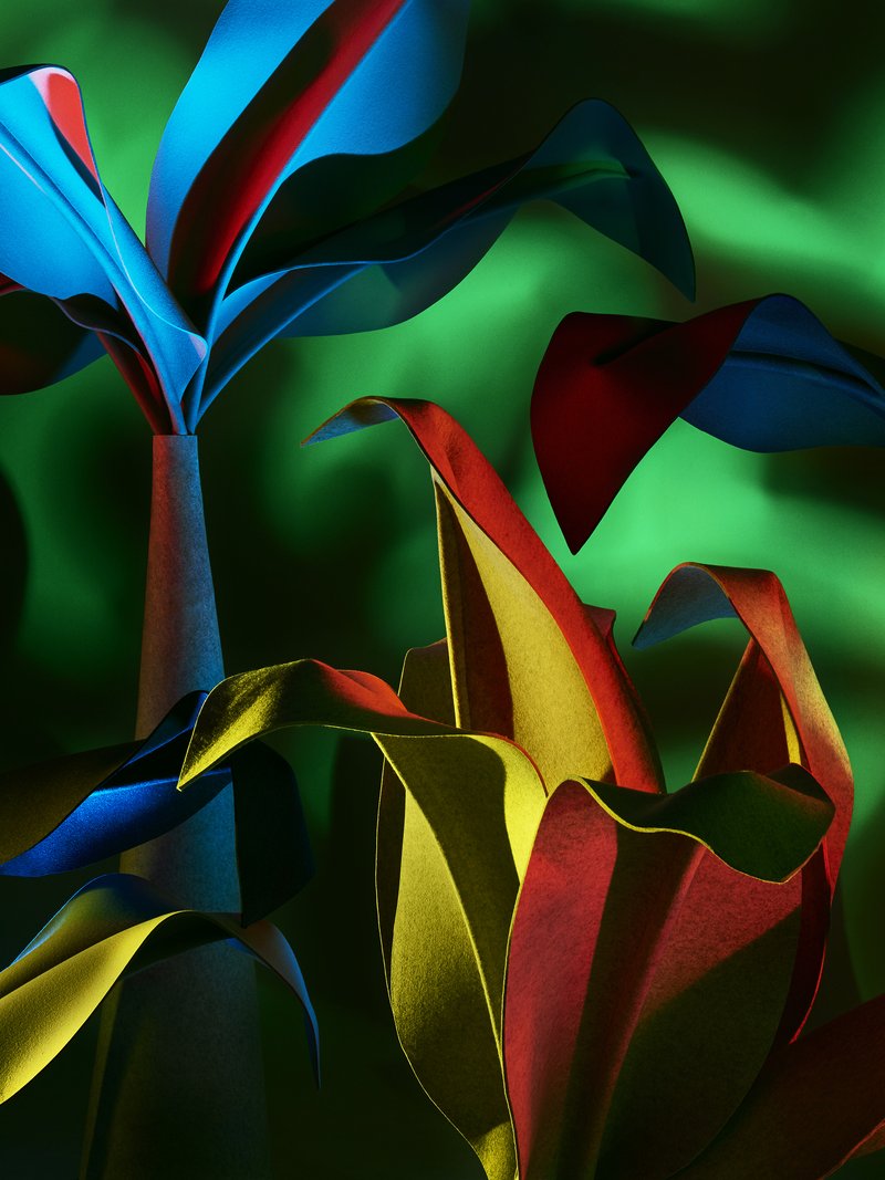 ECAL Oasis