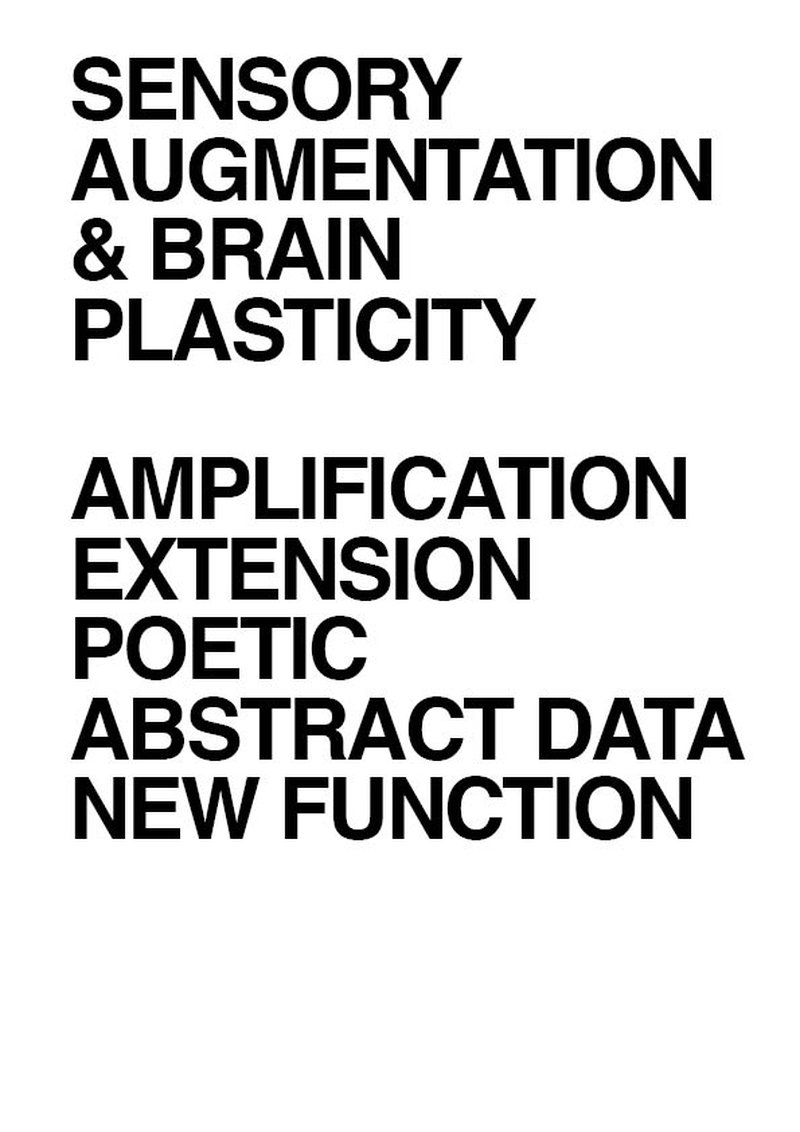Sensory Augmentation & Brain Plasticity