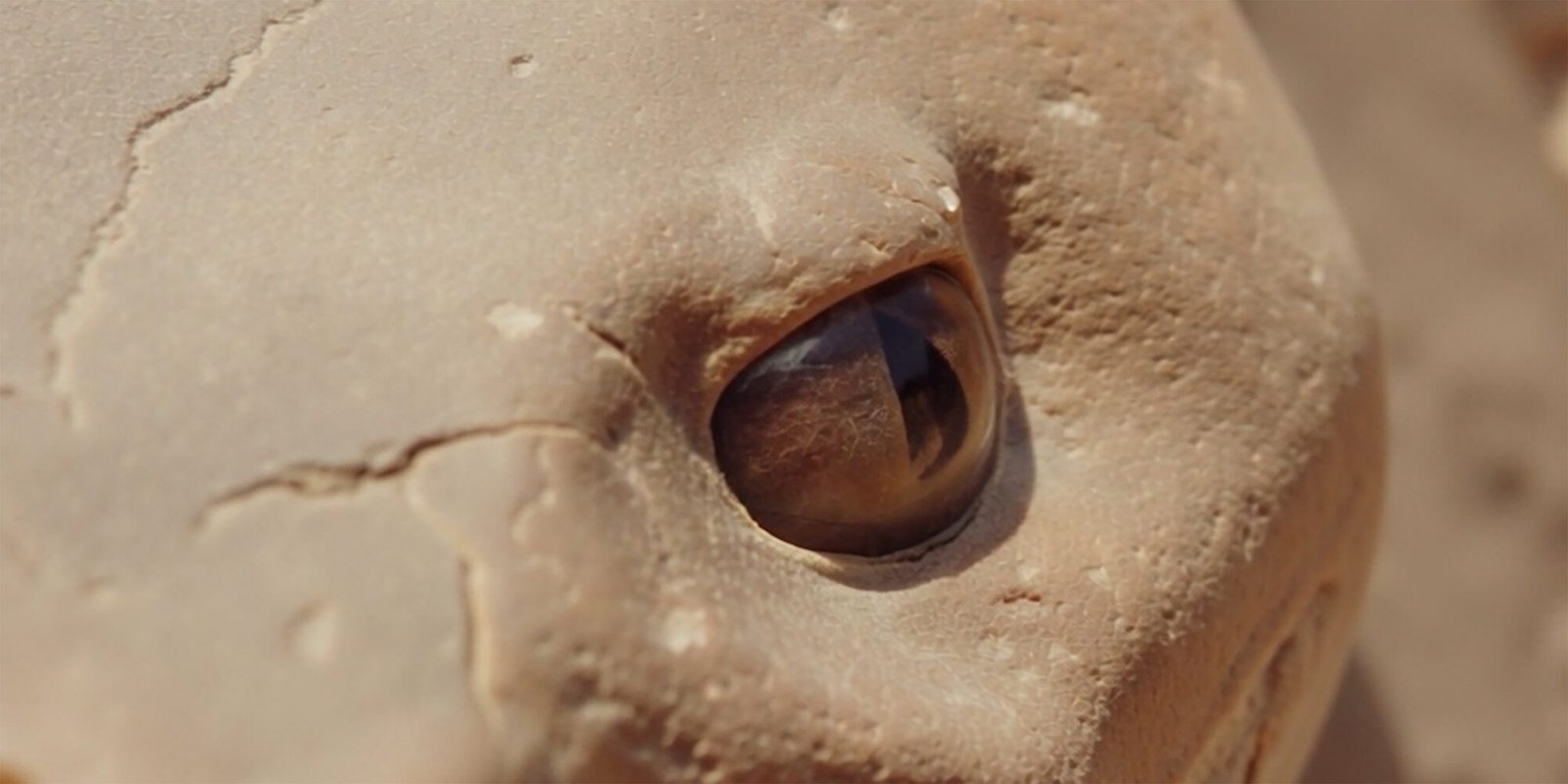 Archaeology of Birth