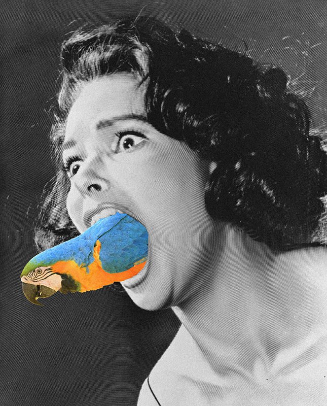 Exhibition "ECAL Photography" at the Galleria Carla Sozzani