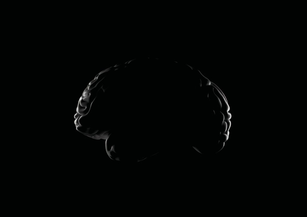 Basile Fournier – Read only Memory