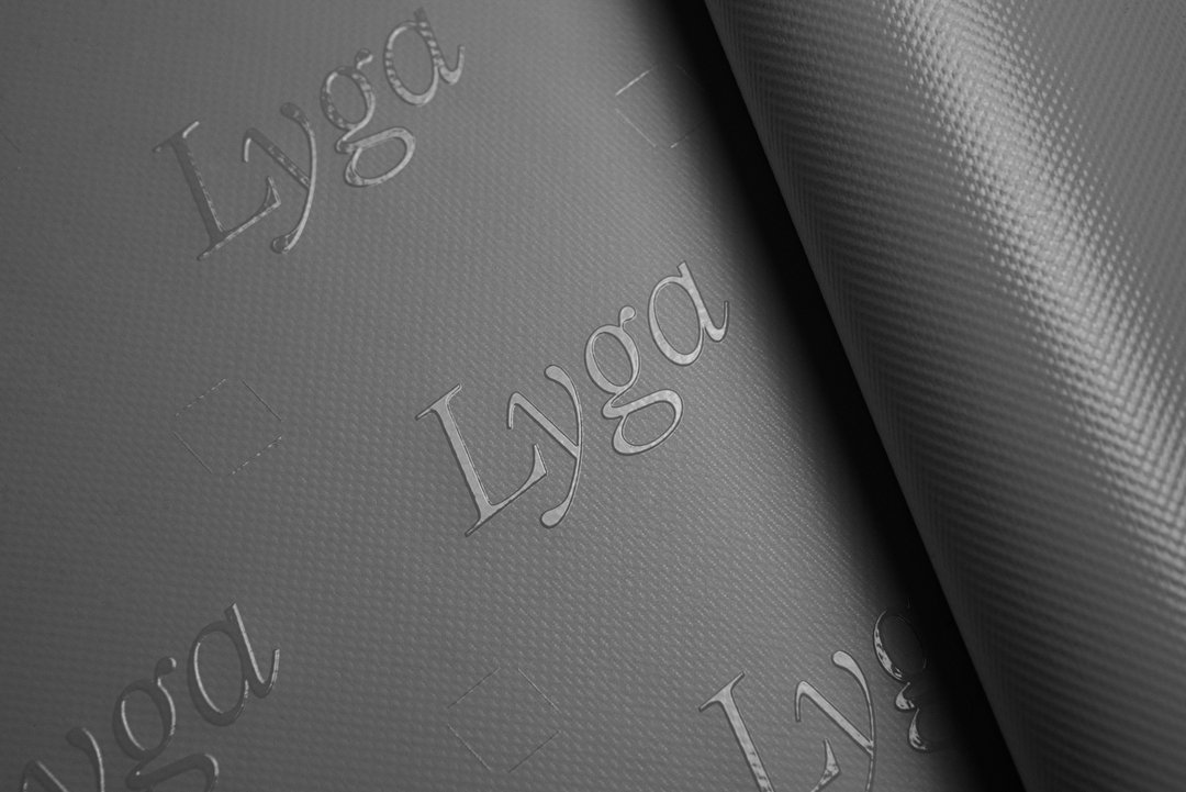 Samira Schneuwly – Lyga