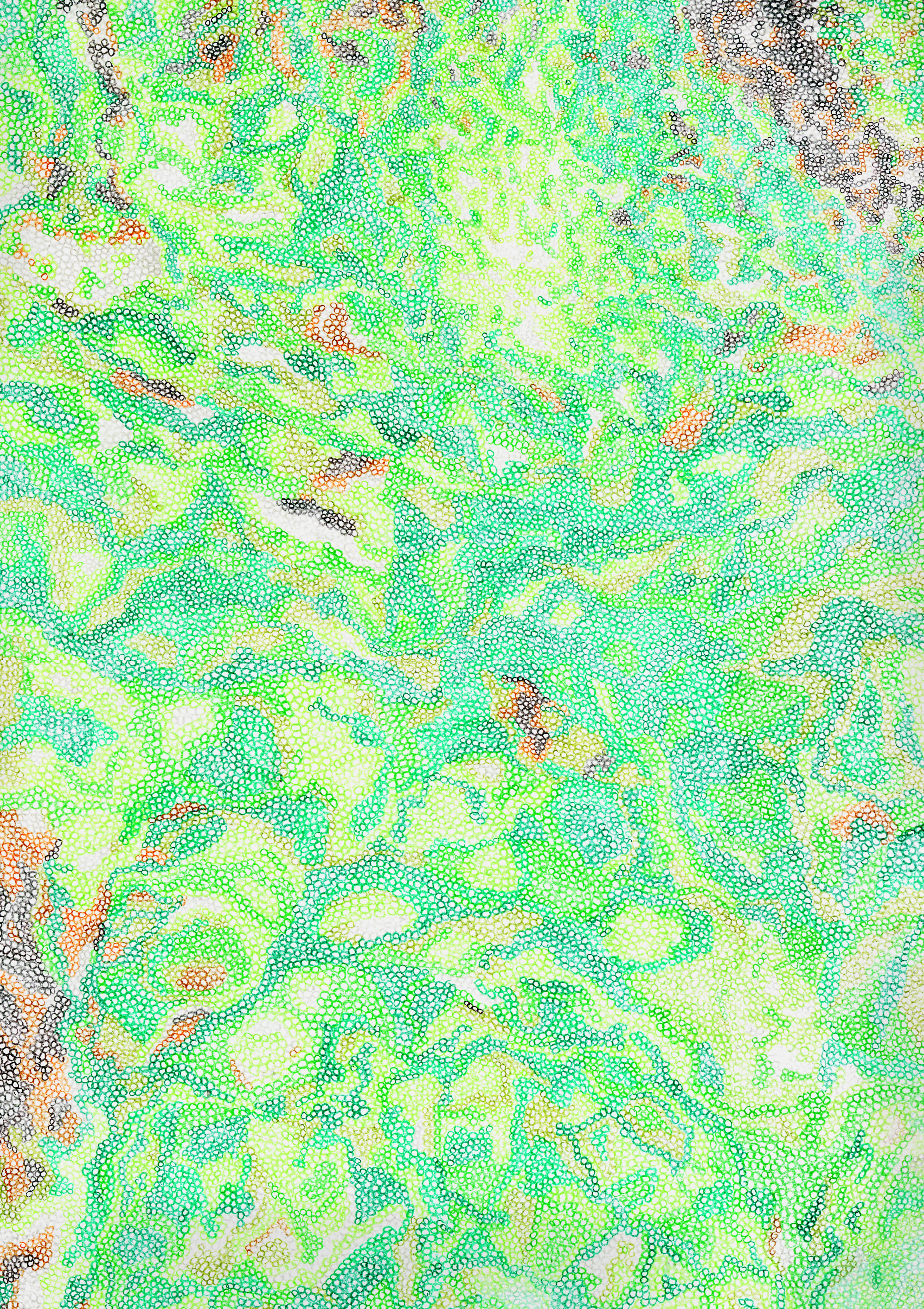 R-Tessa_Noël_1A_AV copie.jpg