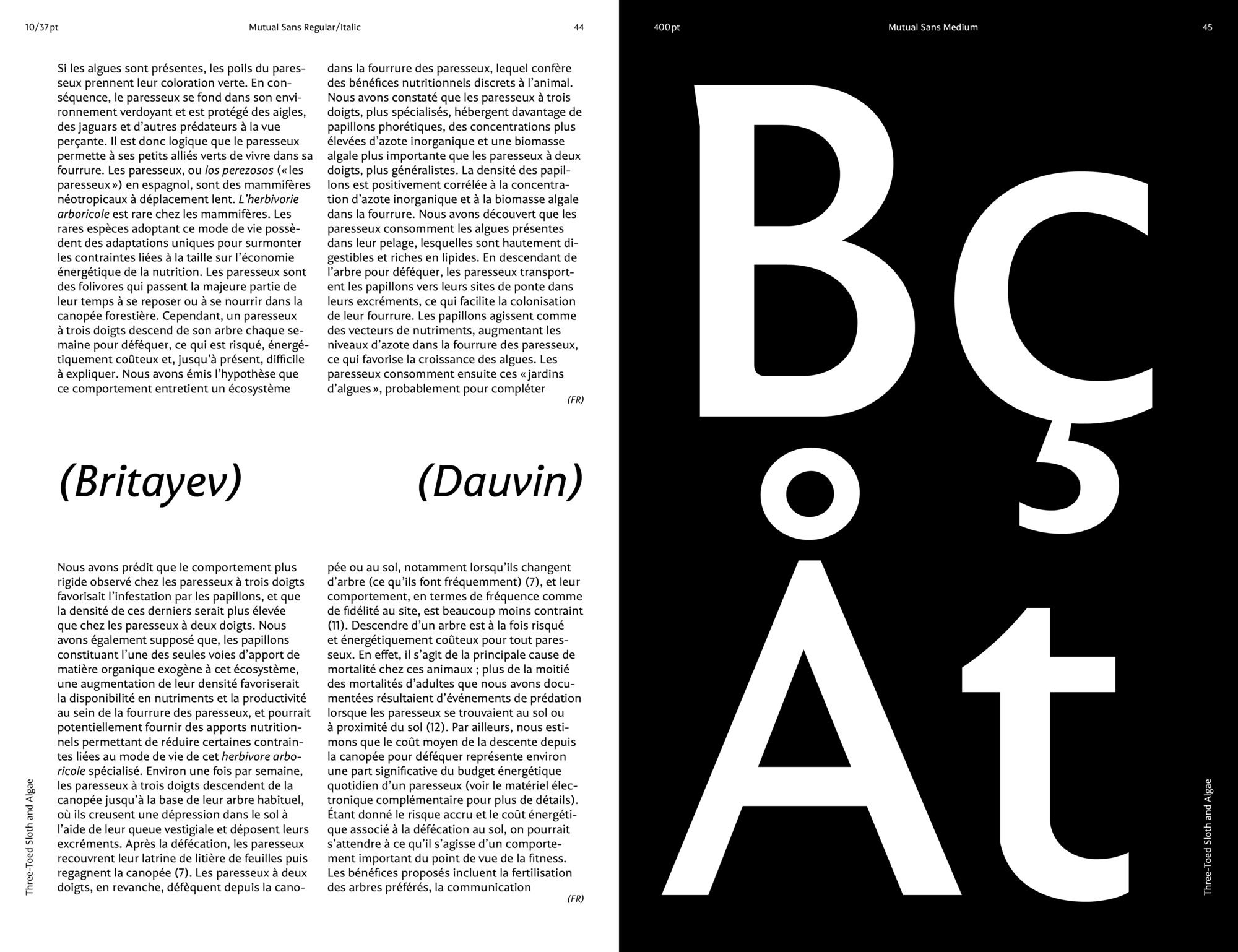 Mutual_ECAL_MaraNolze_5_compressed.jpeg