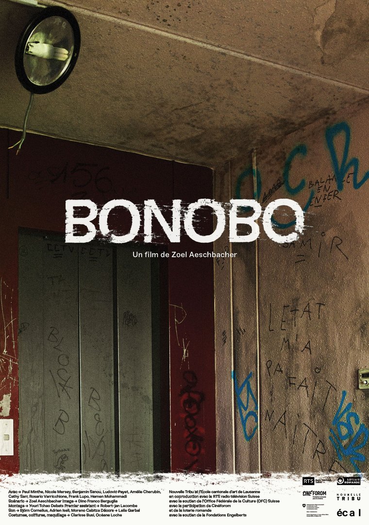 Bonobo