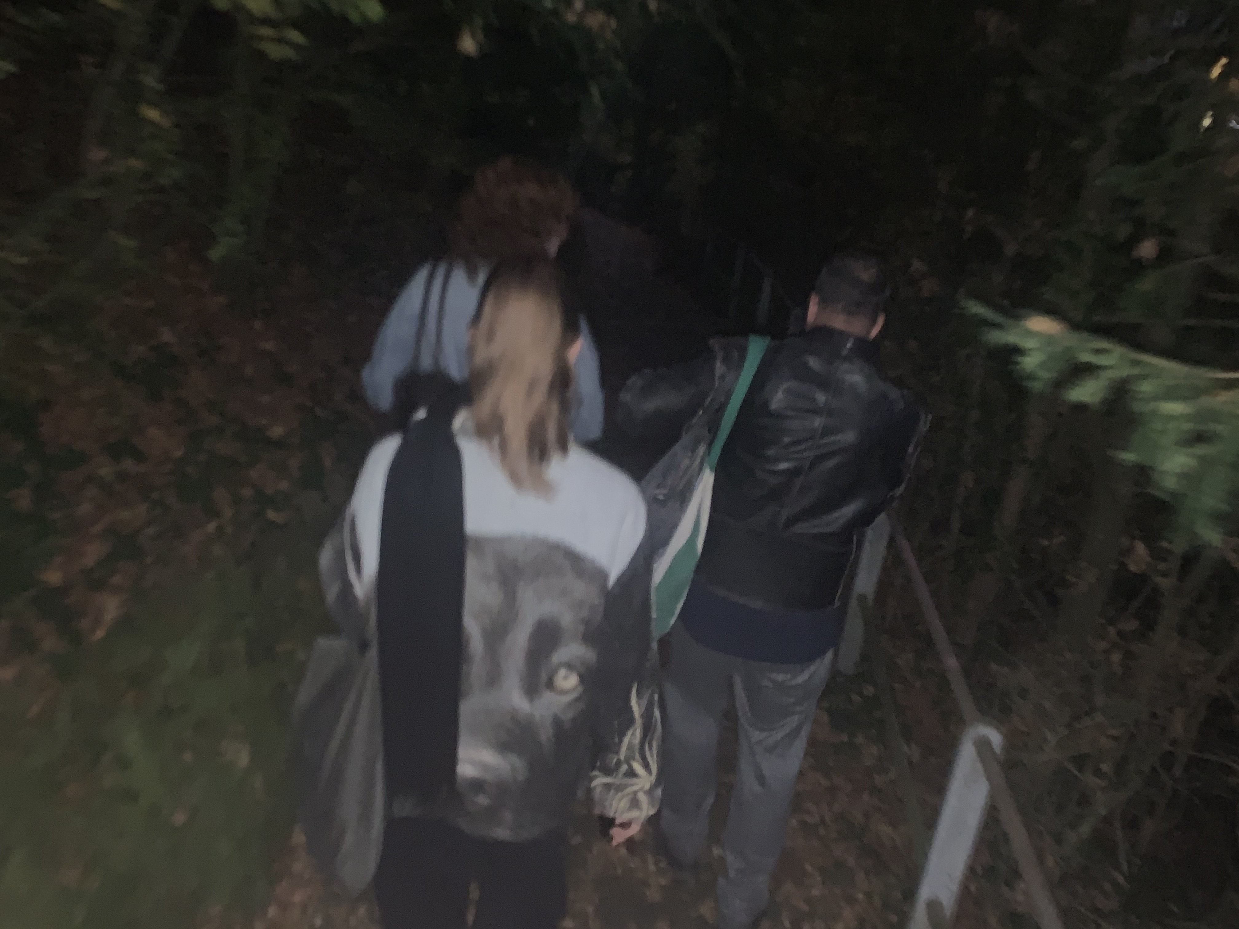 image00018.jpeg